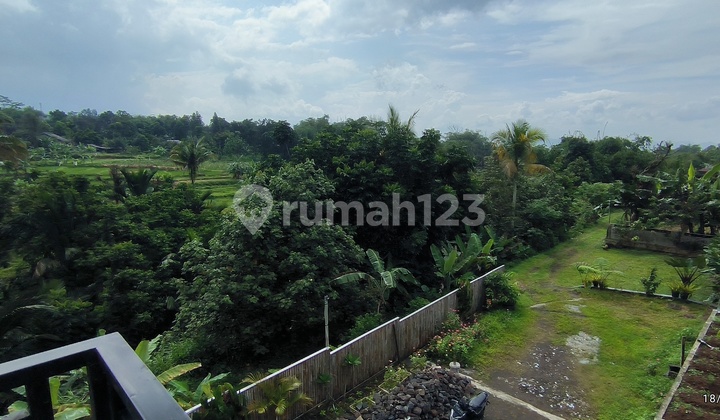 Tanah 6000 Shm Sukajadi Tamansari Bogor Jawa Barat Tanah 6000 Shm Sukajadi Tamansari Bogor Jawa Barat