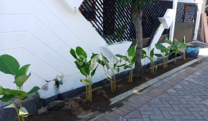 Rumah Disewakan di Putat Gede Timur Iv Surabaya Barat 65
