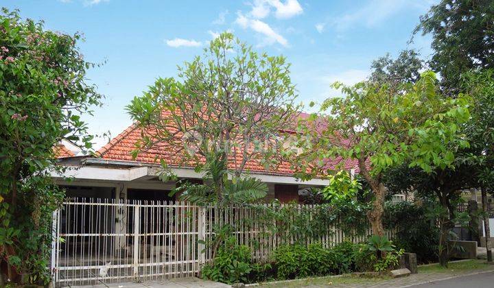 Rumah Disewakan Jl. Cipunegara, Surabaya Pusat, Hunian Asri 1