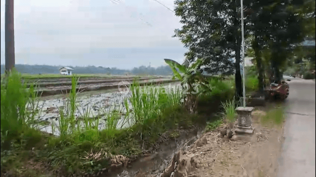 Tanah dijual di Ngawi 2