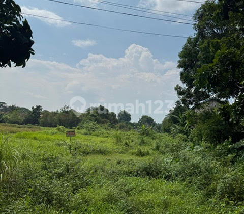 Land for sale in Pasuruan, Legok, Gempol, East Java.
