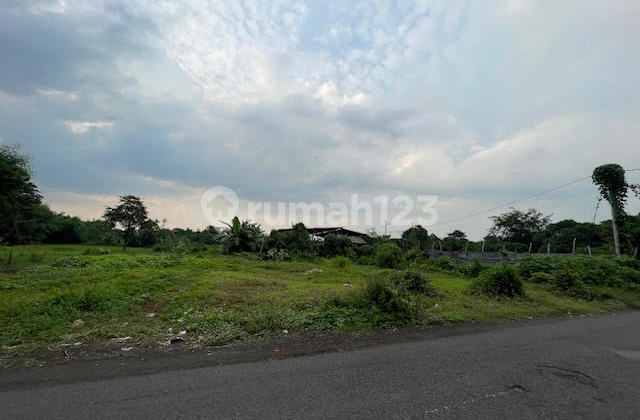 Cheap Land For Sale in Rembang, Pasuruan
