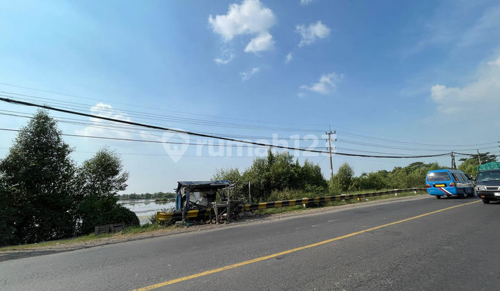 Fishpond land for sale on Manyar Gresik main road.