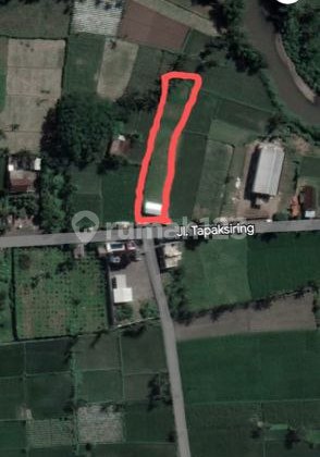Land for Sale in Tapaksiring, Jember Land for Sale in Tapaksiring, Jember