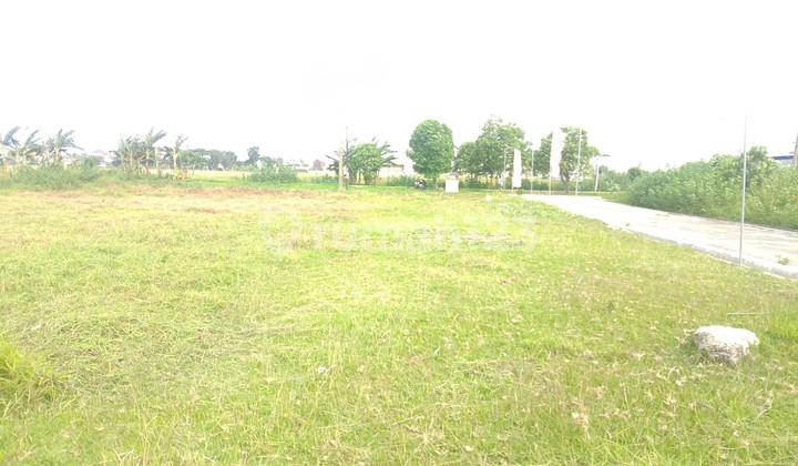 Land or Plot for Sale in Front of Casman Puri Insani Deltamas Lippo Cikarang Cluster Tkcpi1550n