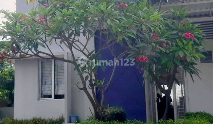 Disewakan Rumah Kost di Meadow Green Lippo Cikarang Hot Listing 1