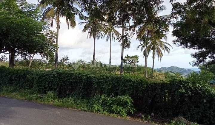 For Sale Large Land in Lombok by the road - Suitable for villa etc.
