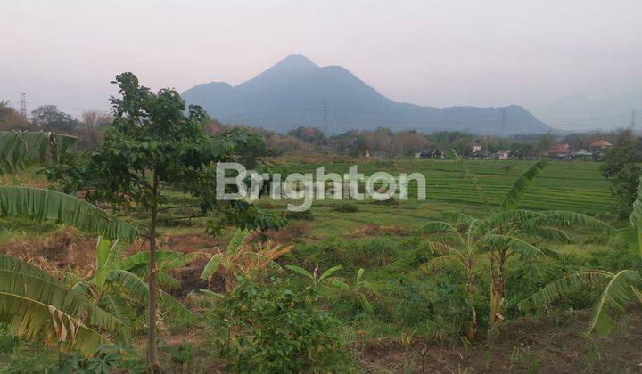 Tanah Kebun view puncak gunung Penanggungan 1