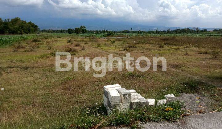 Tanah siap bangun 1