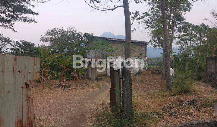 Tanah Kebun view puncak gunung Penanggungan 2