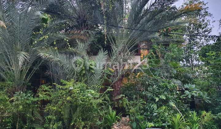 	“nikmati Hidup Tenang Di Tengah Kota, Hanya Di Kemayoran Jakarta Pusat” 2