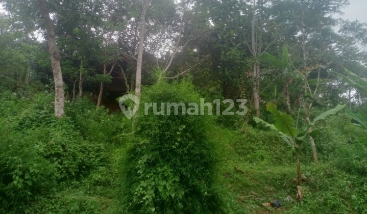 Tanah upslope jatisari kutawaringin bandung