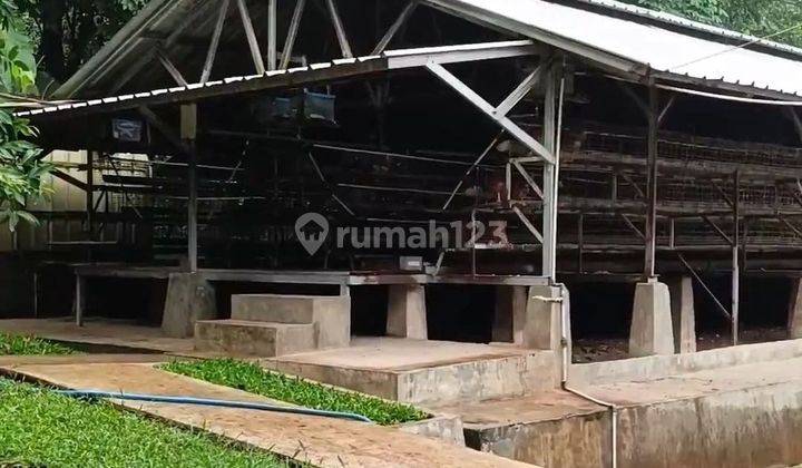 Tanah kolam pancing Dan ternak ayam petelur profitable di Sadang purwakarta 1