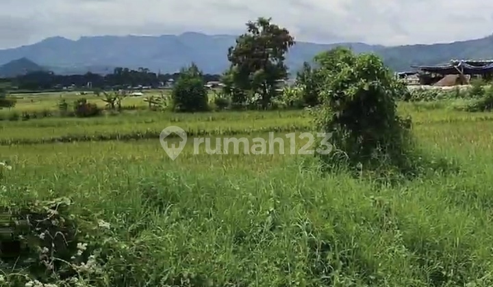 Tanah Komersil Mainroad Jalan Gading Tutika Soreang Bandung Tanah Komersil Mainroad Jalan Gading Tutika Soreang Bandung