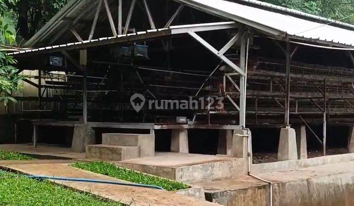 Tanah Dengan Ternak Ayam Petelur Dan Kolam Pancing Murah Di Campaka Purwakarta 1
