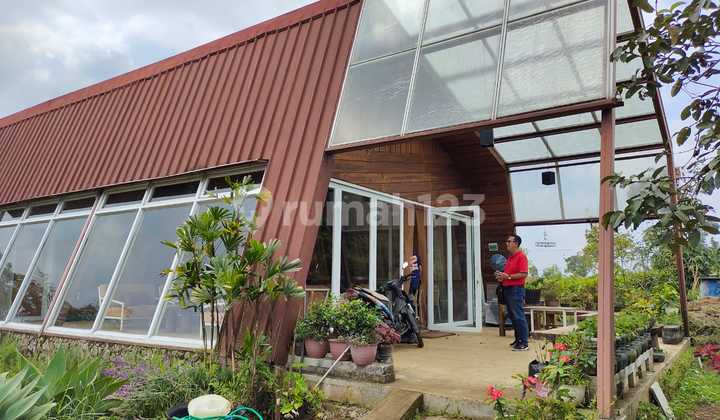 Tanah Kebun Bonus Villa Mirah Di Gambung Ciwidey Bandung Tanah Kebun Bonus Villa Mirah Di Gambung Ciwidey Bandung