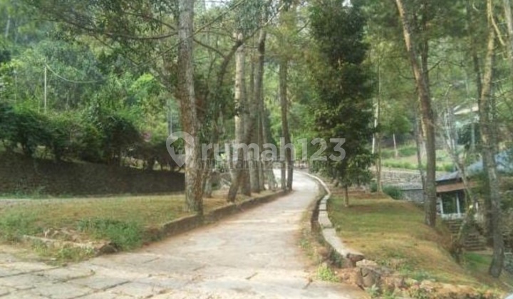 Tanah Bonus Bangunan Villa Luas Si Raya Tangkuban Perahu Lembang