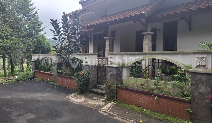 City Center House, Serene and Comfortable. Spacious with a View. 1