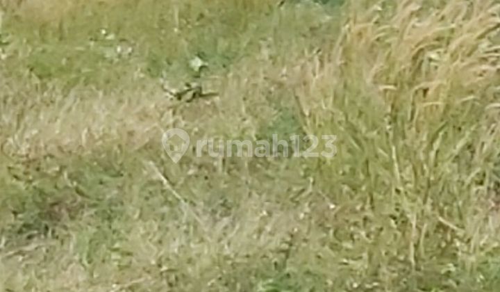 Lahan industri murah di semarang barat 2