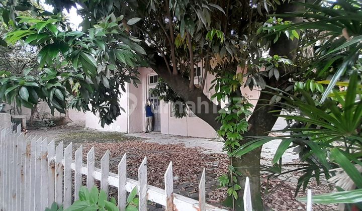 Rumah Lama cocok untuk Cafe 2