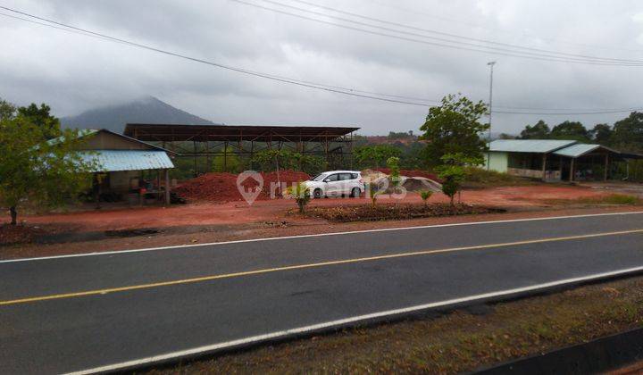 Tanah SHM Lintas Barat Km26, Bintan, View Gunung Bintan 2