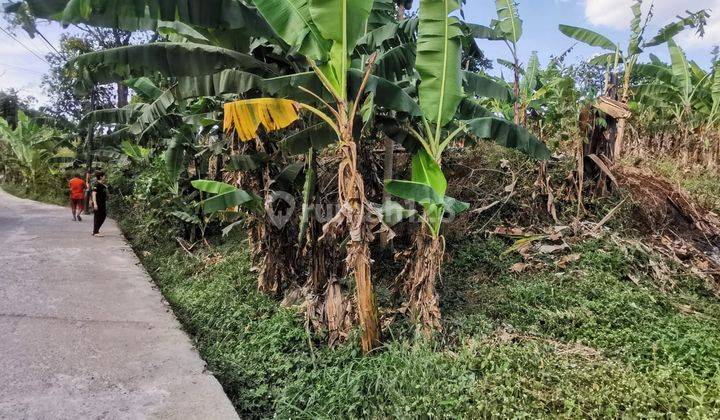 Tanah Matang di Pasirluhur Cimenyan Bandung untuk perumahan