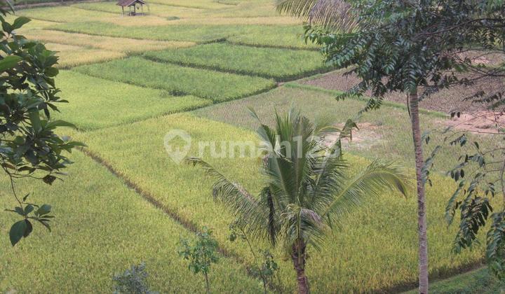 Tanah Ex Tempat Wisata di Jalan Cagak Kabupaten Subang