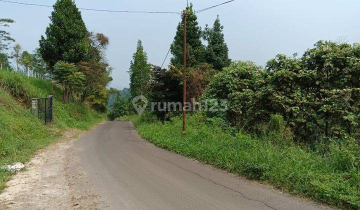 Tanah Untuk Perkebunan Depan Hotel Euro Ngamprah Padalarang 2