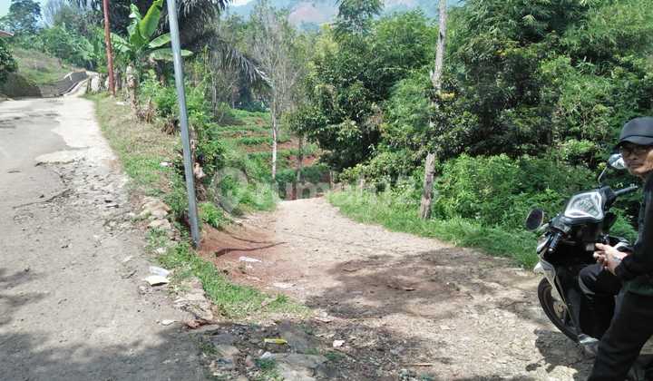 Tanah Perkebunan di Ganyeun Desa Malasari Cimaung Kabupaten Bandung. Tanah Perkebunan di Ganyeun Desa Malasari Cimaung Kabupaten Bandung.