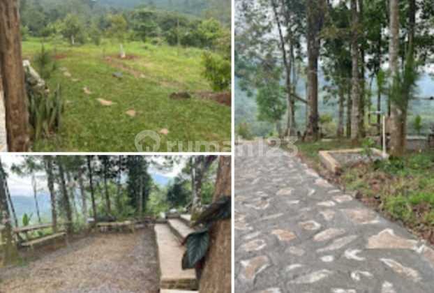 Agricultural land in a green zone, also suitable for tourism objects. Agricultural land in a green zone, also suitable for tourism objects.