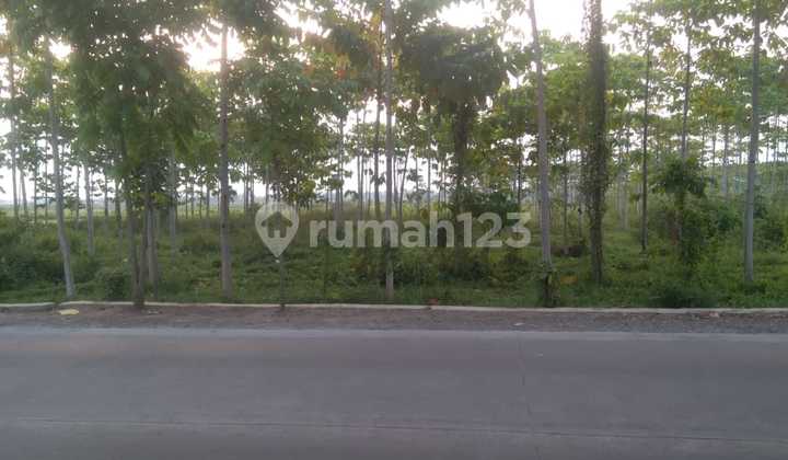 Tanah Siap Pakai di Jalan Raya Cicalengka Majalaya Rancaekek Tanah Siap Pakai di Jalan Raya Cicalengka Majalaya Rancaekek