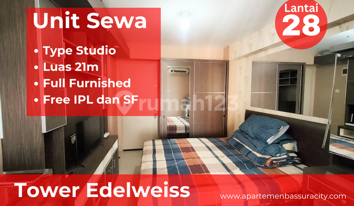 Rent Studio Type Apartment Bassura City Tower Jasmine