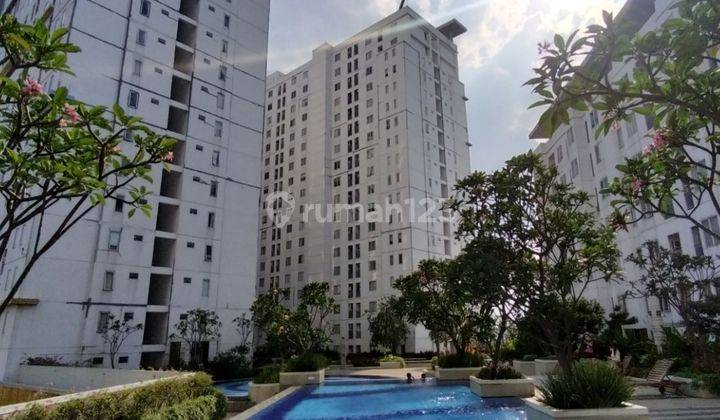 Murah 2BR tower Alamanda Apartemen Bassura City view kolam  1