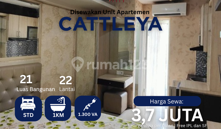 Sewa Per 3bln Apartemen Bassura City Tower Flamboyan Murah Call Maula