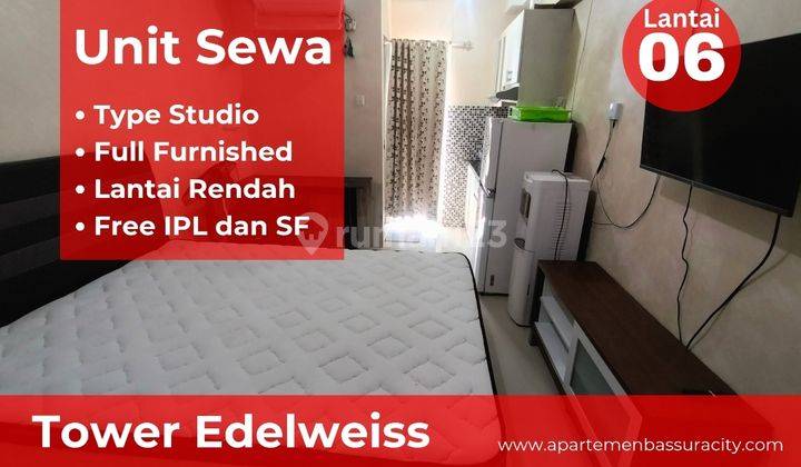 Sewa Apartemen Bassura City Furnish Type Studio Lantai Rendah 1