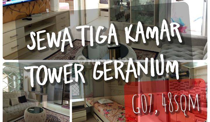 Sewa 3br Apartemen Bassura City Jakarta Timur Siap Huni 1