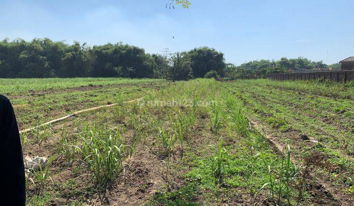 Tanah Industri, Ngoro Mojokerto, Murah 1