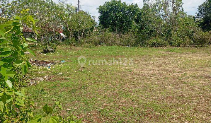 Tanah 10 Are Daerah Kutuh Badung Zona Kuning Bisa Untuk Bangun Villa 2