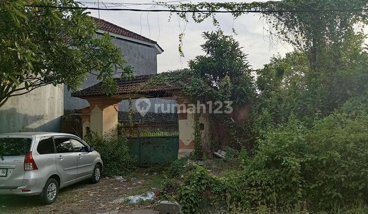 Tanah 13 Are Disewakan Lokasi Strategis Kesiman Kertalangu Cocok Untuk Bisnis Atau Bangun Rumah Villa 2