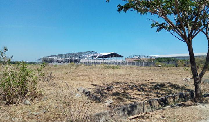 Tanah Kavling Gudang Industri di Pattene 20000 m² 1