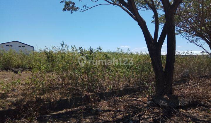 Tanah Kavling Gudang Industri di Pattene 20000 m² 2