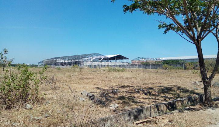 Dijual Tanah industri di Jl. Pattene 10000 m² SHM 2