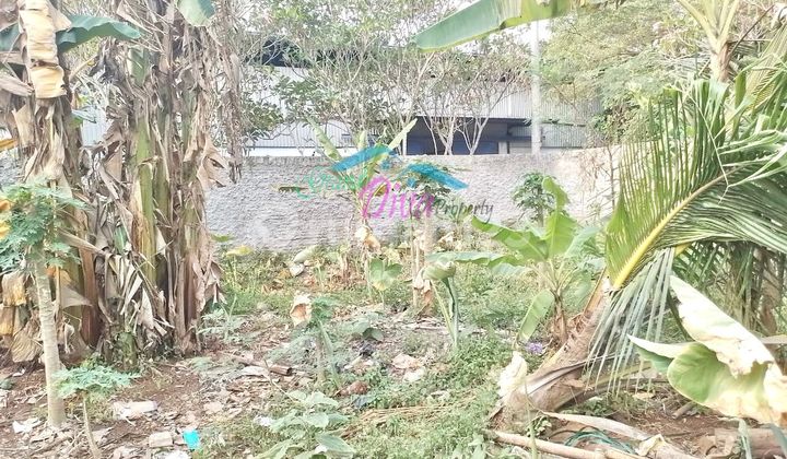 Tanah Di Desa Mampir Bogor