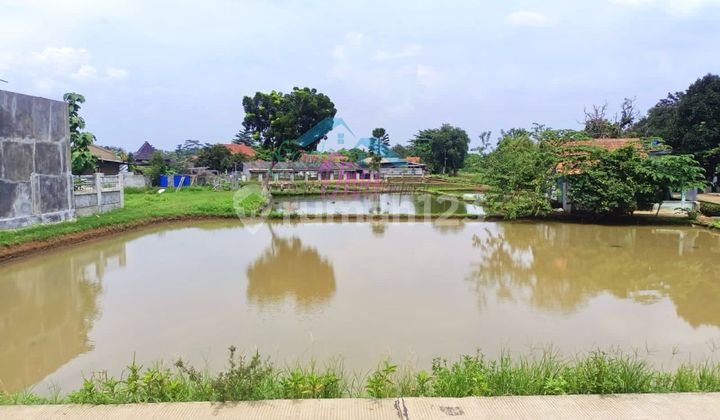 Cheap Sale of Land by the Roadside in Kp. Babakan Sabrang Ciseeng.