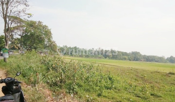 Land in Cikedokan, West Cikarang, Close to PT Argo Pantes