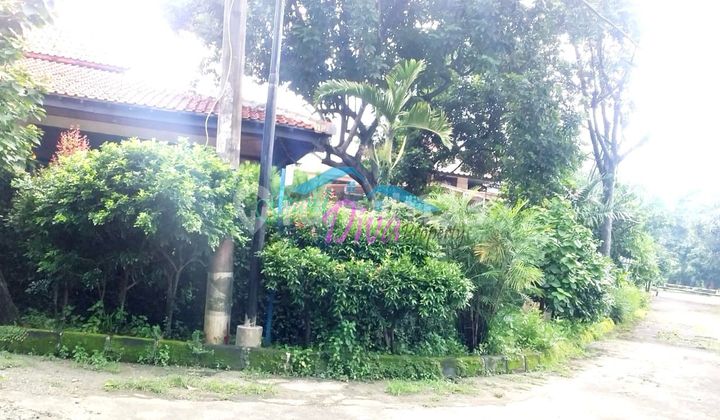 Rumah Model Joglo di Perumahan Masnaga Jaka Sampurna Bekasi Barat 2