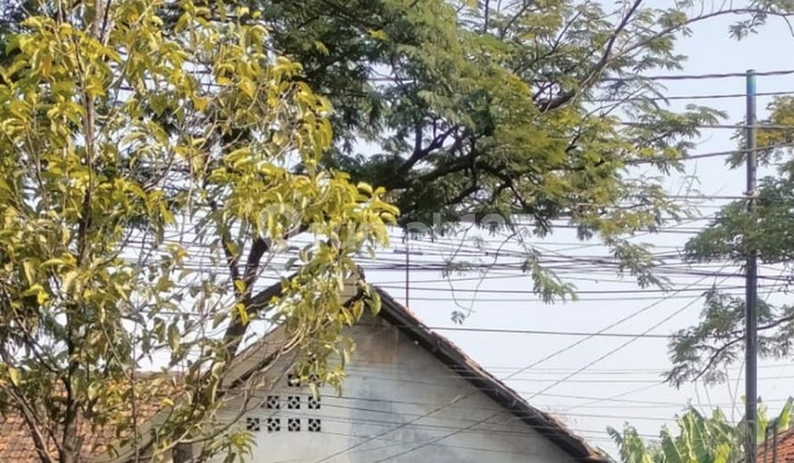 Ready-to-Build Plot on Jalan Raya Merdeka Pabuaran Tangerang