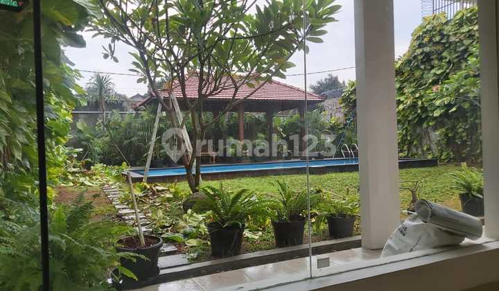 Bright House With Backyard At Cipete 2