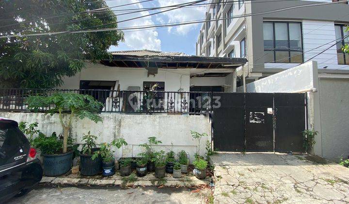 Dijual Rumah Tua Pluit Permai 325m 1