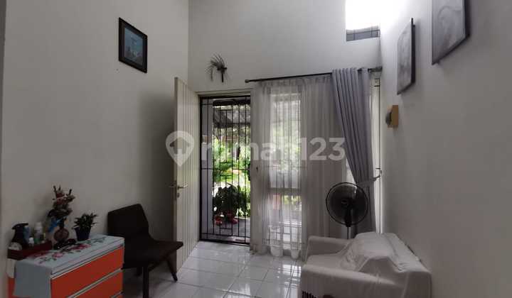 Quick Sale Cluster Simplicity The Icon BSD 7X15